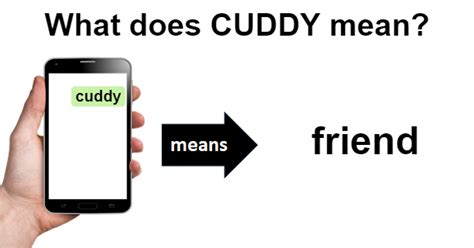 Cuddy Definition & Meaning .